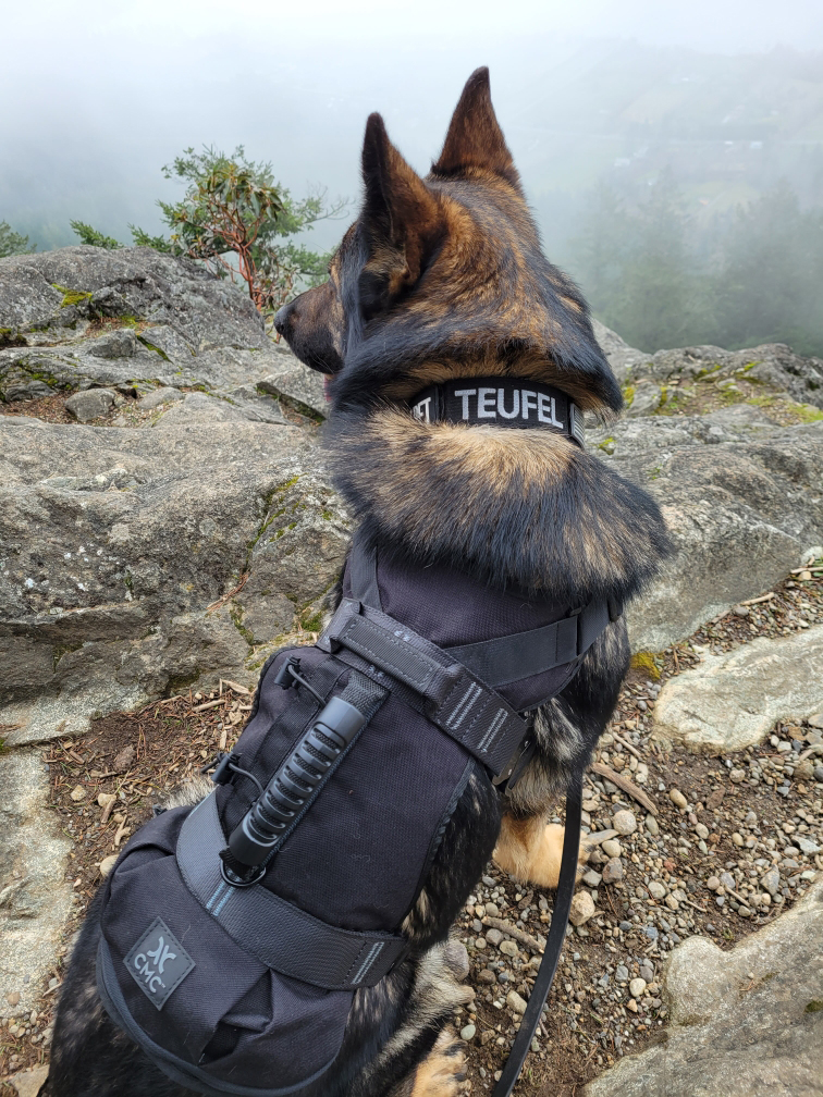 K9 Rope1