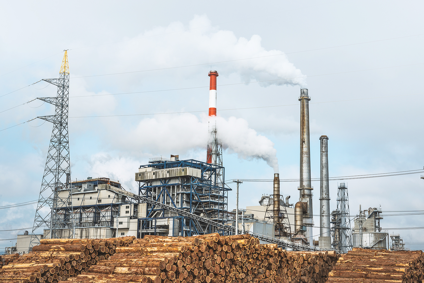paper mill stock